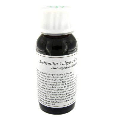19N ALCHEMILLA VULGAR COMP LVS