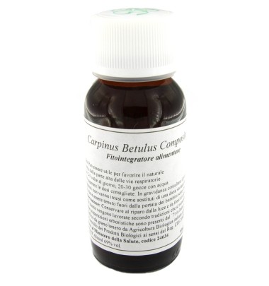 20N CARPINUS BETULUS COMP LVS