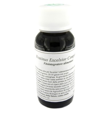 22N FRAXINUS EXCELSIOR COM LVS