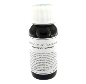 LVS 37N Viola Tricolor Comp.