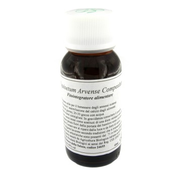 41N EQUISETUM ARVENSE COMP LVS