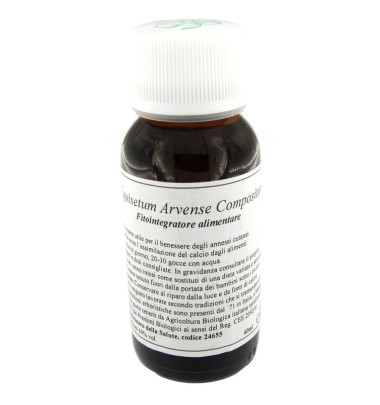 41N EQUISETUM ARVENSE COMP LVS