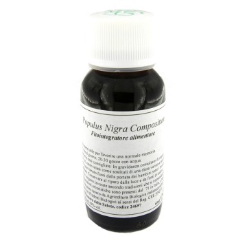 43N POPULUS NIGRA COMP LVS