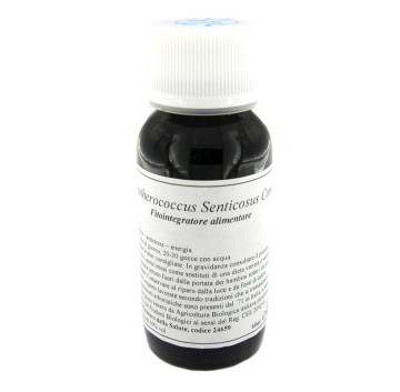 45C ELEUTHEROCOC SENT COMP LVS