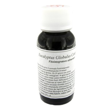 56S EUCALYPTUS GLOBULUS COMP LVS