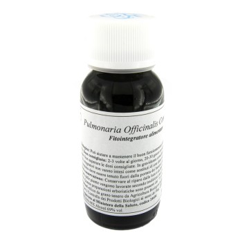 84C PULMONARIA OFF COMP LVS