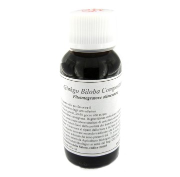 62S GINKGO BILOBA COMP 60ML LVS