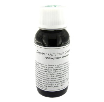 64N ZINGIBER OFFICINA COMP LVS