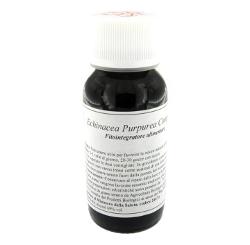 67S ECHINACEA PURP COMP 60 LVS
