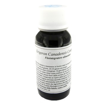 85C ERIGERON CANADENSIS COMP LVS