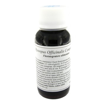 91C HYSSOPUS OFF COMP LVS