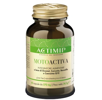 MOTOACTIVA 60CPS STUDIO