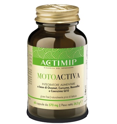 MOTOACTIVA 60CPS STUDIO