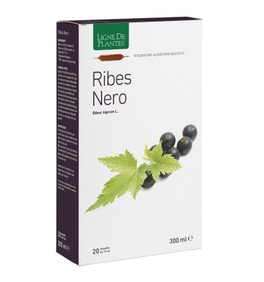 RIBES NERO BIO 20AB 15ML