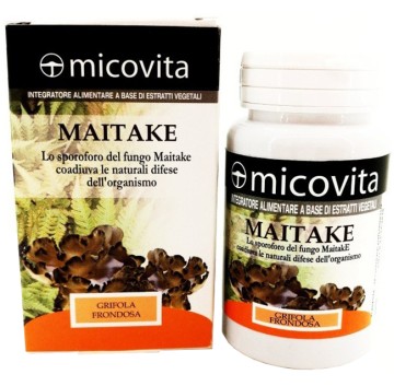 MAITAKE FUNGO MICOVITA 60CPS