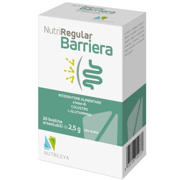 NUTRIREGULAR BARRIERA 20BUST