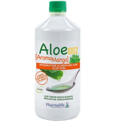 ALOE 100% AROMA MANGO 1LT