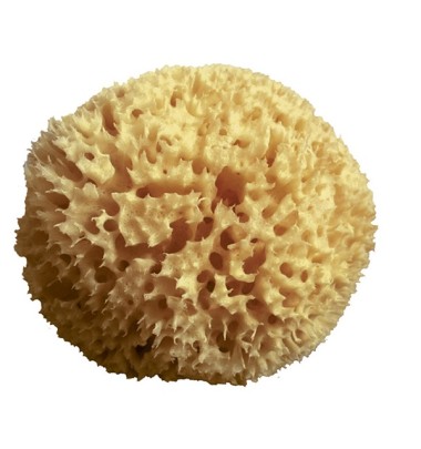 SPUGNA ARCIPELAGO MED NAT 12