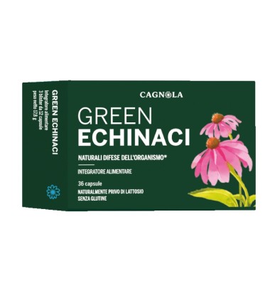 GREEN ECHINACI 36CPS