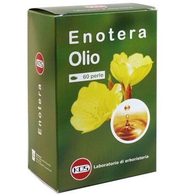 OLIO DI ENOTERA 60PRL