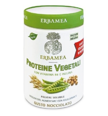 PROTEINE Veg.270g EBM
