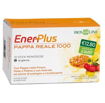 ENERPLUS Pappa R.1000 10Stk TP