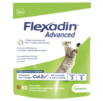 FLEXADIN ADVANCED GATTO 60TAV