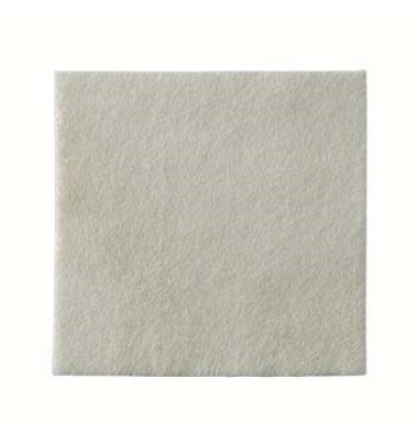 BIATAIN 3760 ALGINATE AG 10X10
