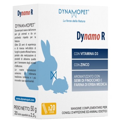 DYNAMO R 20STICK 2 5G