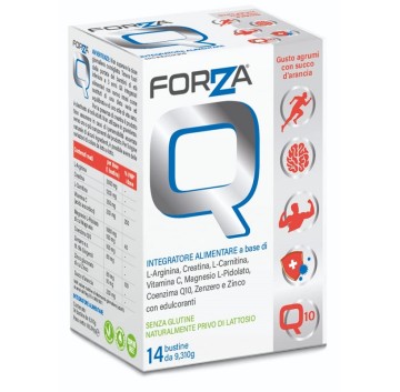 FORZA Q 14 Bust.
