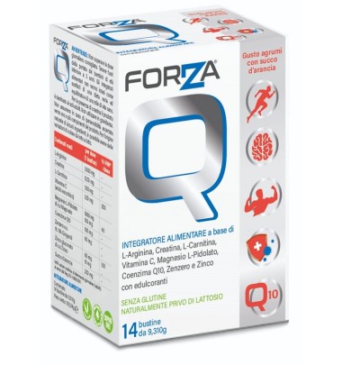 FORZA Q 14 Bust.