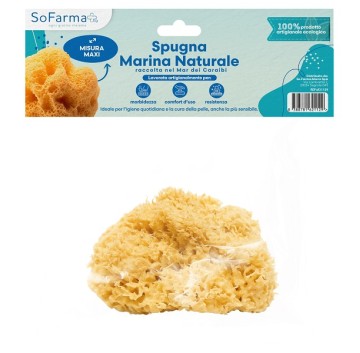 SPUGNA MARINA NATURALE MAXI SF+