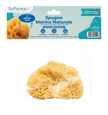 SPUGNA MARINA NATURALE MAXI SF+