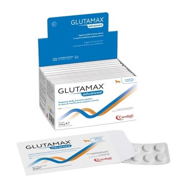 GLUTAMAX Advanced 120 Cpr