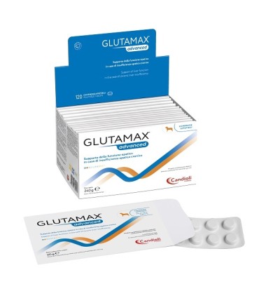 GLUTAMAX Advanced 120 Cpr