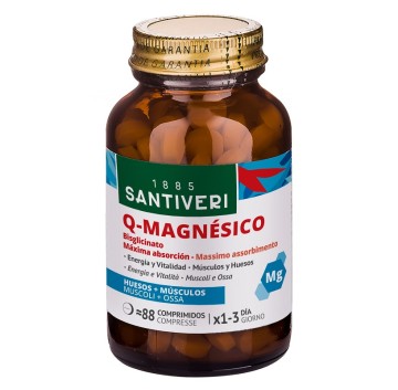 Q-MAGNESICO BISGL.88Cpr    STV