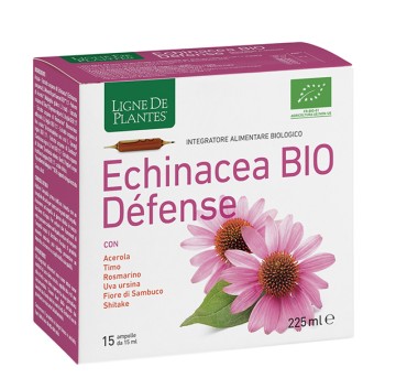 ECHINACEA BIO DEFENSE 15AMP 15