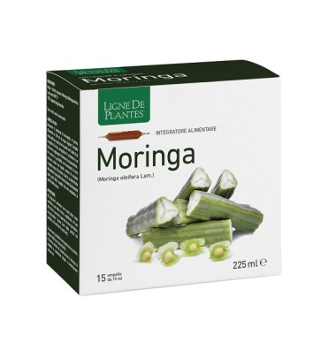 MORINGA 15AB 15ML