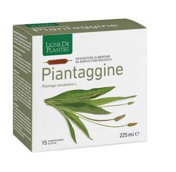 PIANTAGGINE 15AMP 15ML NATURA
