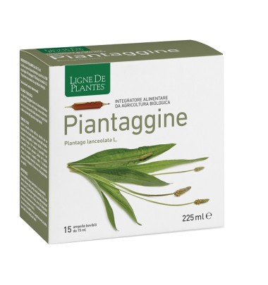 PIANTAGGINE 15AMP 15ML NATURA