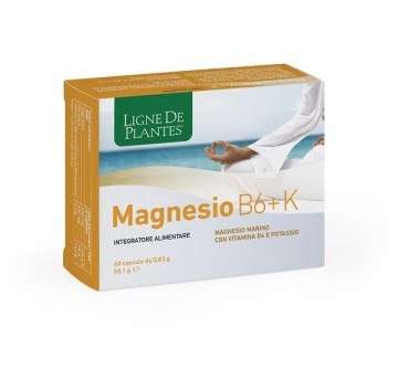 MAGNESIO B6 + K 60CPS
