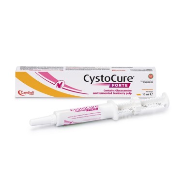 CYSTOCURE Forte Pasta 15ml