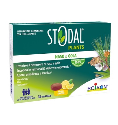 STODAL Plants 36 Past.Limone