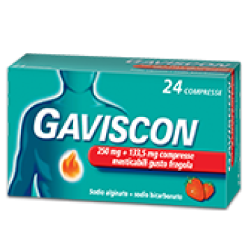 GAVISCON*24CPR MAST FRAGOL 250MG