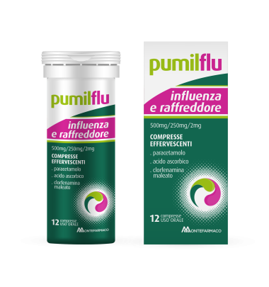 Pumilflu Influenza E R*12cpr